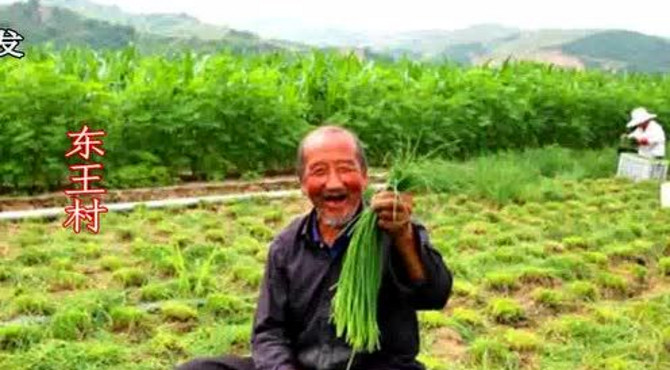 积翠乡1210
