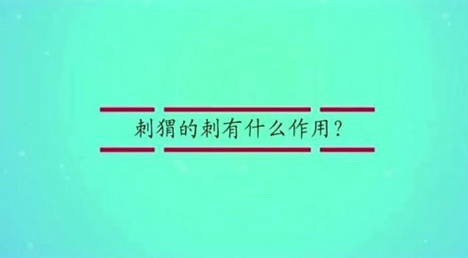 刺猬的刺有什么作用？