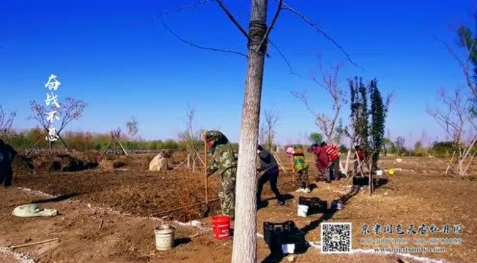 三分钟认识蓟州国色天香牡丹园