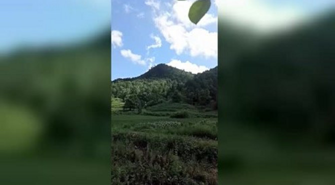 美丽的卢氏县官坡镇庙台风景