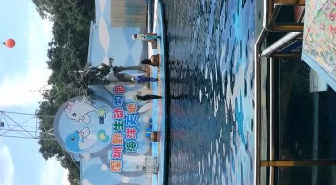 深圳野生动物园海洋馆动物表演
