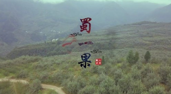 蜀一果 高原苹 糖心苹果