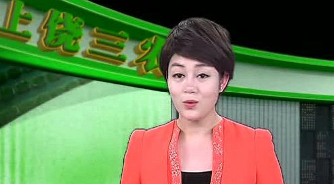 【农事百科】冬季桔园清园工作是重点