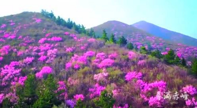 森林驿站景区风景