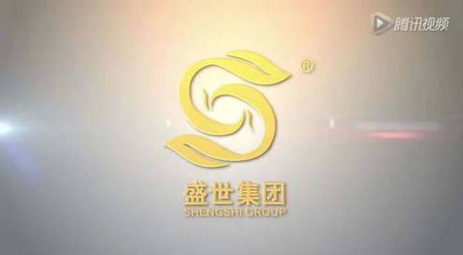 盛世集团宣传片
