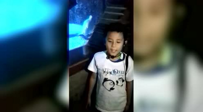 太平洋海底世界讲解员活动