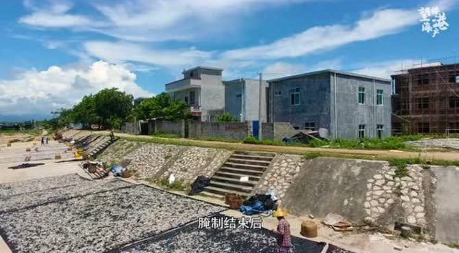 望楼港宣传片