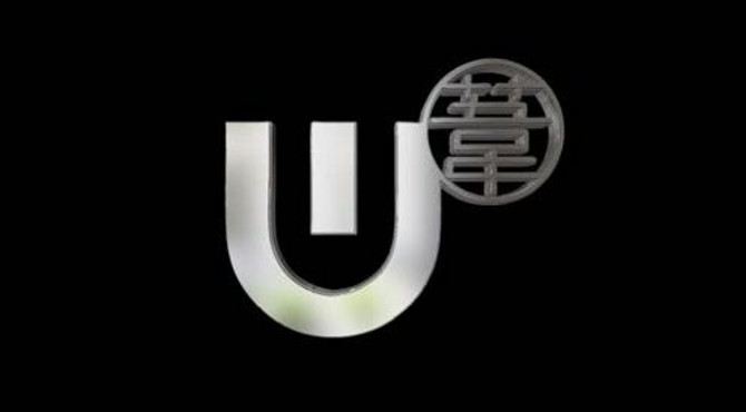 vj小苇简介资料