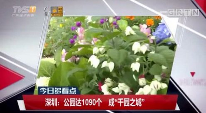 深圳：公园达1090个，成“千园之城”