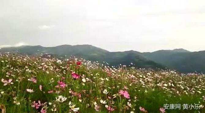 旬阳万寿山 旬阳旅游