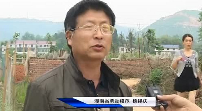 0429奖章里的故事·魏锡庆：5年加班782次