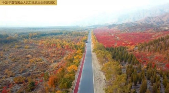 北武当生态旅游区#旅行vlog#