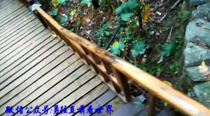 天门沟九州驿站树屋