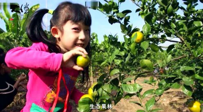 广州市南沙永乐绿色生态旅游度假区宣传片
