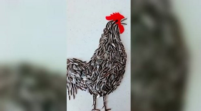 这个雄鸡报晓不一般