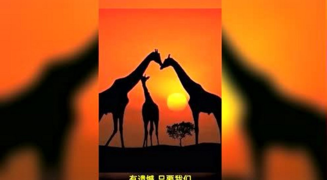 好歌新亭  好歌