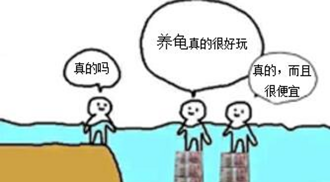 【云养大法好】给各位介绍一下大缸里的龟