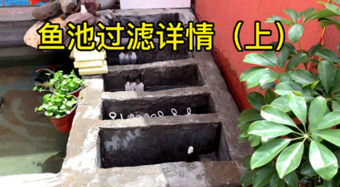 为大家详细介绍锦鲤鱼池过滤的运作原理，以及过滤的作用。