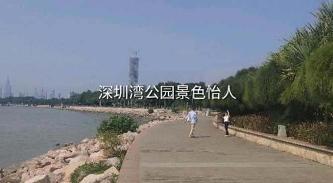 深圳市网红打卡地，深圳湾公园景色怡人。