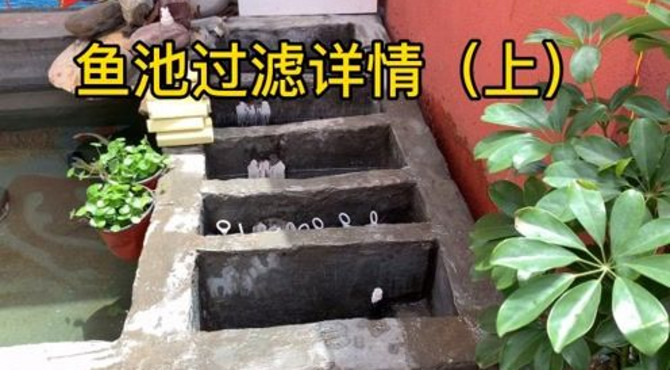 鱼池过滤详情（上）