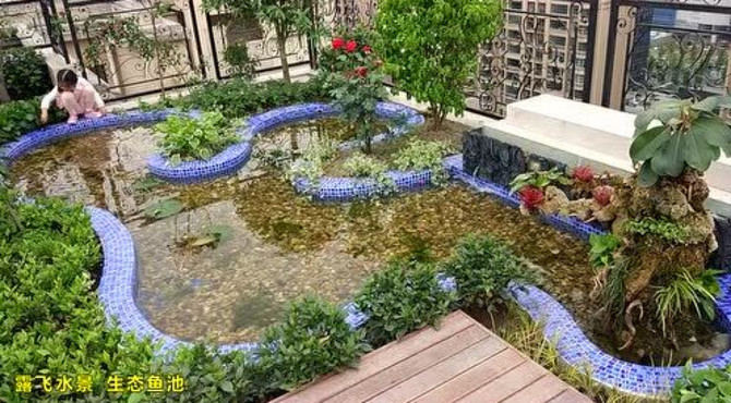 露飞水景 鱼池生态造景
