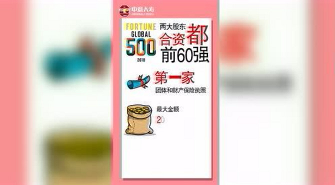 实力中意公司介绍