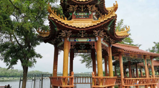 房山的一座湿地公园开放了，成群的鱼儿好壮观，游玩拍照都合适