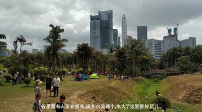 深圳八景之一莲花山公园，你一定会带家人小孩去玩的森林公园