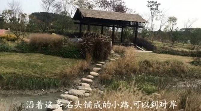 上海市这个免费公园适合全家游亲子游，郊野公园柳鹭田园区游记