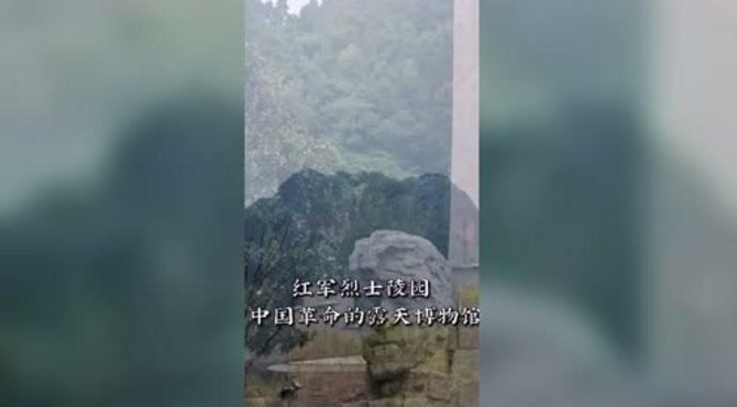 四川旅游攻略，这处景点千万别错过，有着国家最美森林公园！