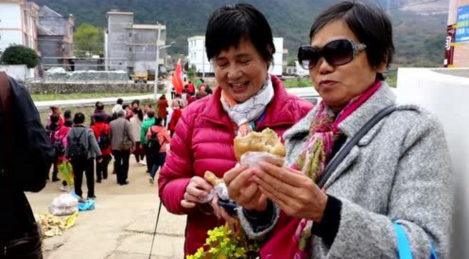 热闹！阳山80多位老人走进阳山小江镇，感受千年银杏、500年古村的魅力