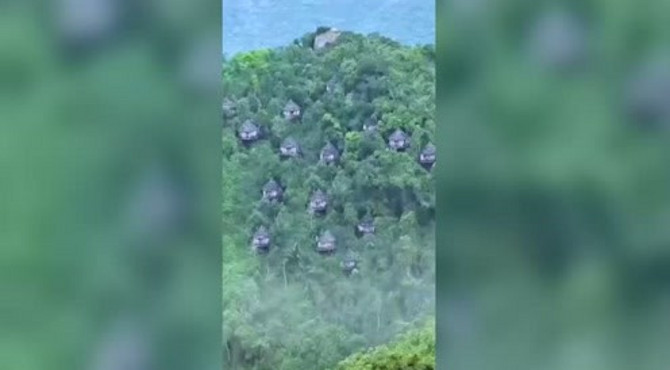 亚龙湾天堂森林公园