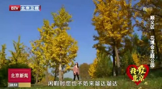 我爱北京：顺义区花博会主题公园
