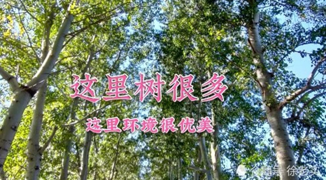 北京通州东郊森林公园华北树木园北园，这里小而精致，美而不腻噢