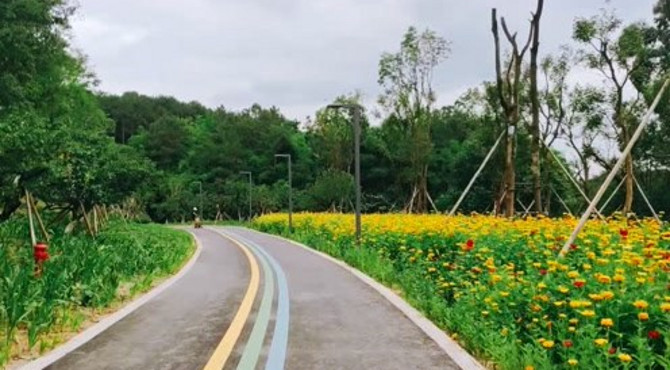 休闲探路骑游永安湖城市森林公园，成都城南又添“生态绿心”