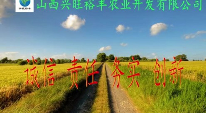 兴旺裕丰宣传片