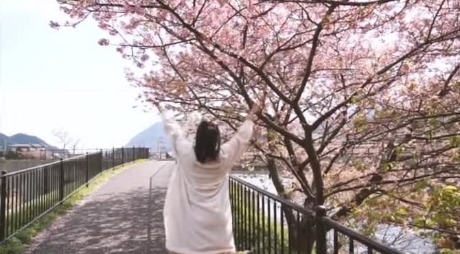 日本河津樱完全攻略, 最后有彩蛋