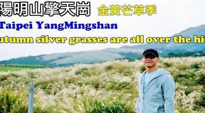 [台北自由行景點攻略] 陽明山擎天崗重新開放趕上芒草季,無法像以前一樣在大草原野餐和翻滾了,有點小失望