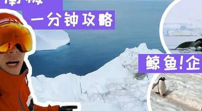 一分钟南极攻略 | 在世界最南端看企鹅 | 冰块美酒 | 参观中国长城站 | 南极vlog