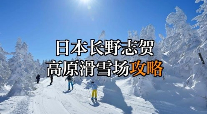 日本志贺高原滑雪场全网最详细攻略，也是日本最大的滑雪场