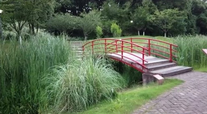 岳阳南湖公园，景色宜人，花草园林，设计独具匠心