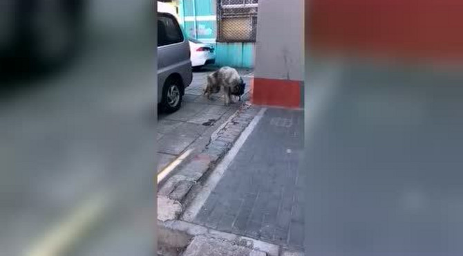 北京紧急救援  北京丰台区五里店程家路附近