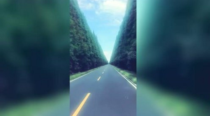 江苏，黄海森林公园的风景真是太优美了，好迷人！