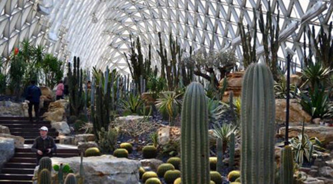 上海有一座国家级植物园 遍地种植奇花异草