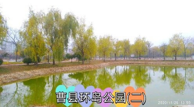 山东曹县环岛公园(二)