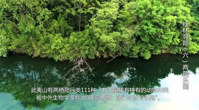 绿林寻踪（六）两爬乐园