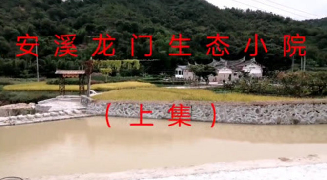 #民生文化#        闽南古厝风采——安溪龙门生态小院（上集）。