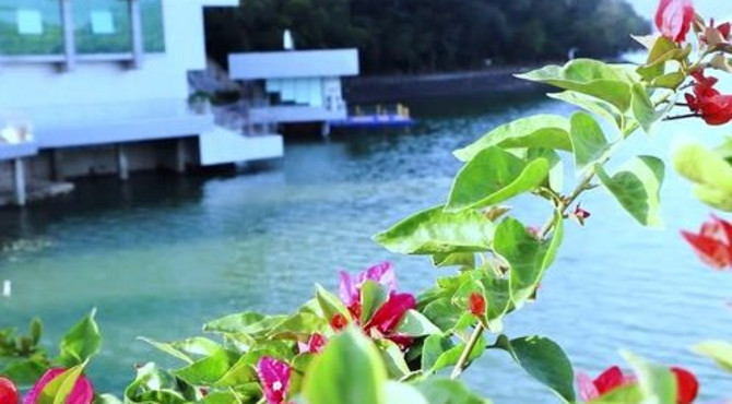 东湖公园深圳水库看碧波荡漾，欣赏湖光山色，景色很美