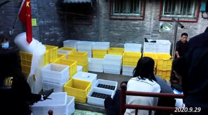 天仙胡同“盒子花园”建造延时花絮