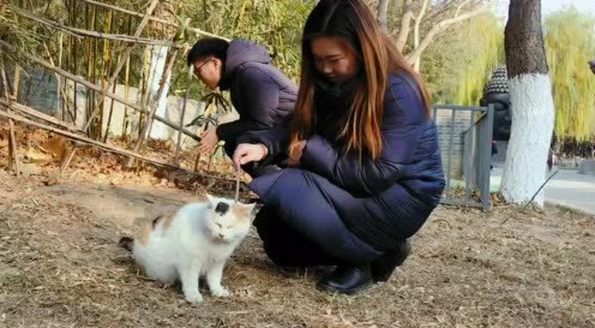 韩美林艺术馆